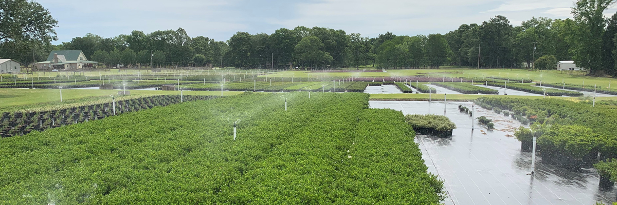 view of G&H Nusery watering plants